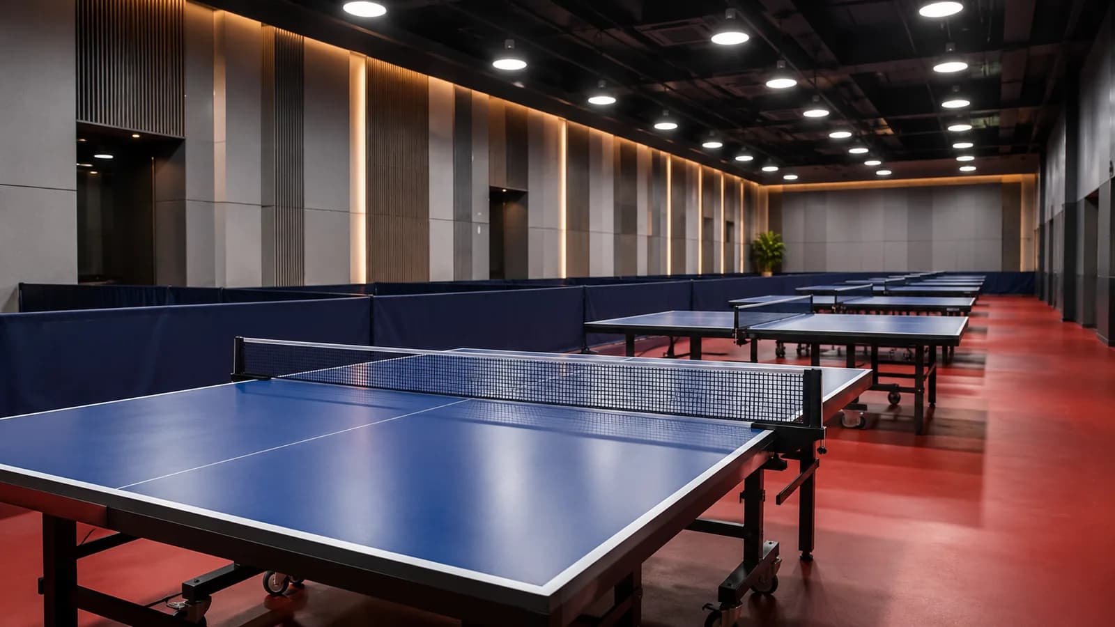 Table tennis venue